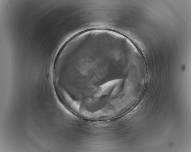 X0000097611239200803211715