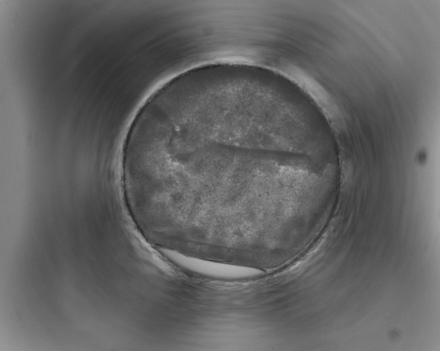 X0000097611240200803211715