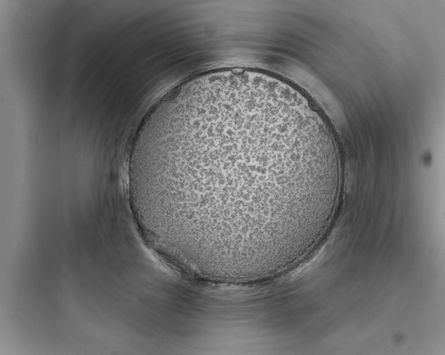 X0000097611241200803211715