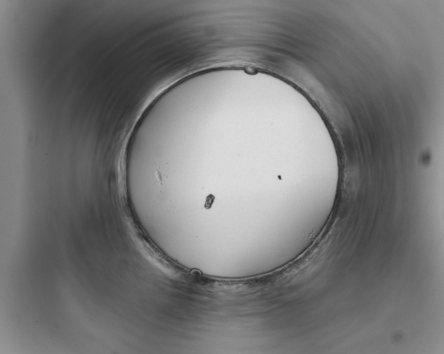 X0000097611242200803211715