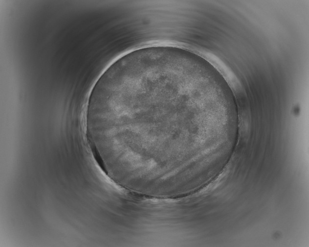 X0000097611244200803211715