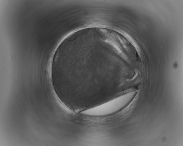 X0000097611246200803211716