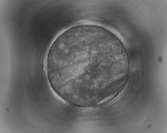 X0000097611247200803211716