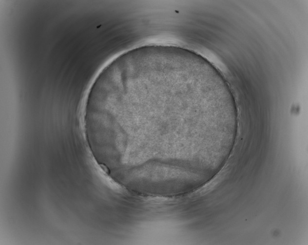 X0000097611248200803211716