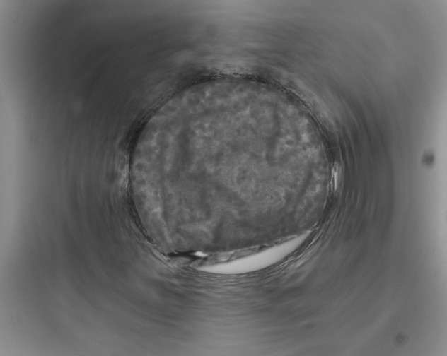 X0000097611251200803211715