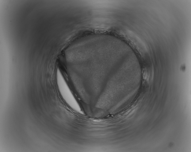 X0000097611252200803211715