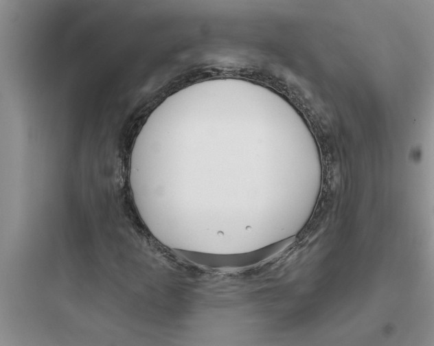 X0000097611253200803211715