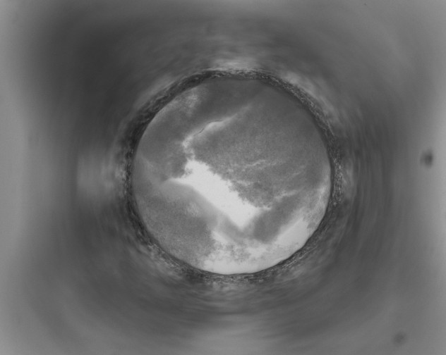 X0000097611254200803211715