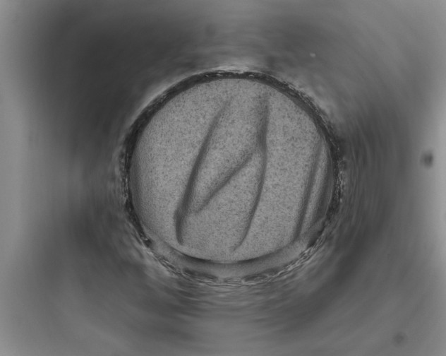 X0000097611256200803211715