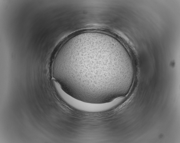 X0000097611259200803211715