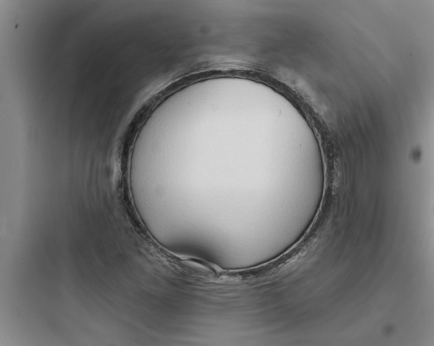 X0000097611261200803211715