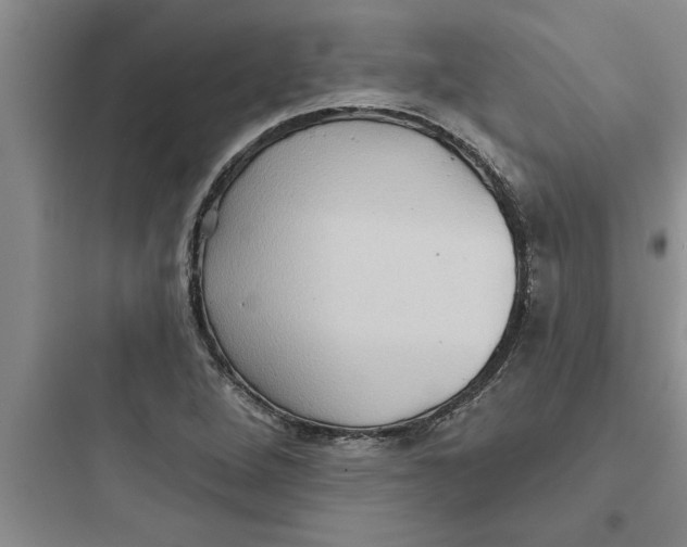 X0000097611264200803211715