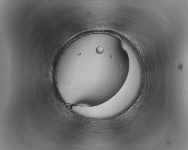 X0000097611265200803211715