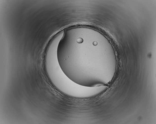 X0000097611266200803211715