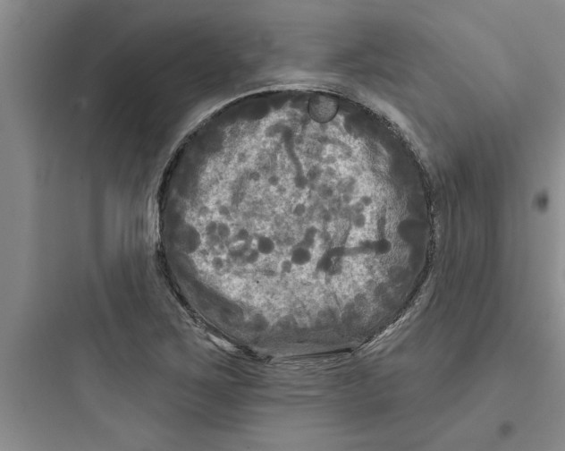 X0000097611267200803211715