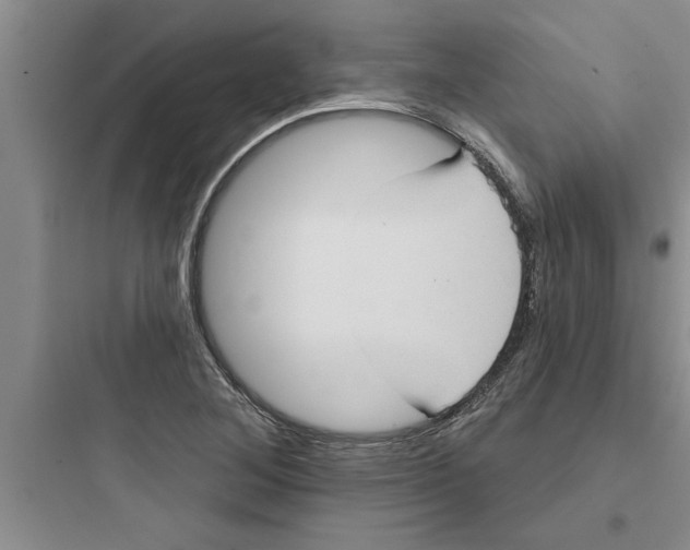 X0000097611268200803211715