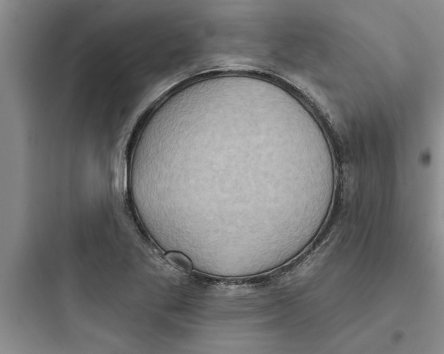 X0000097611269200803211715