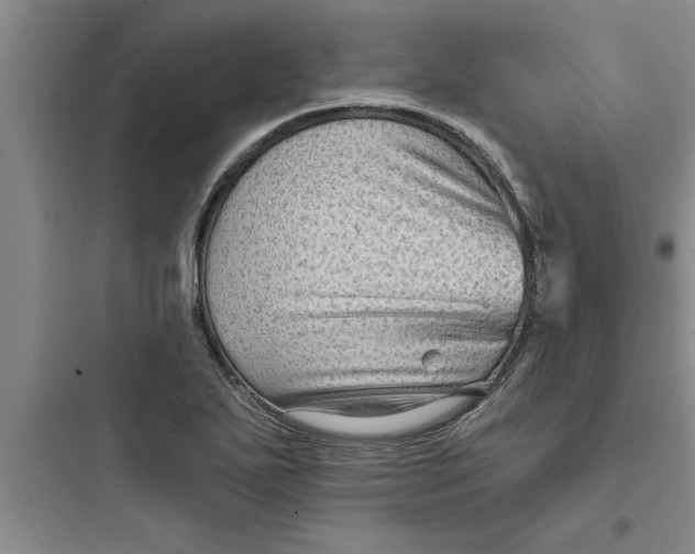 X0000097611271200803211715