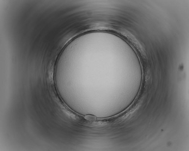 X0000097611273200803211715