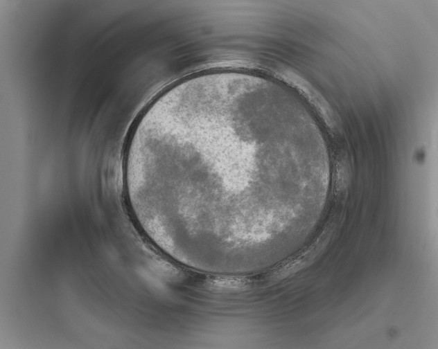 X0000097611274200803211715