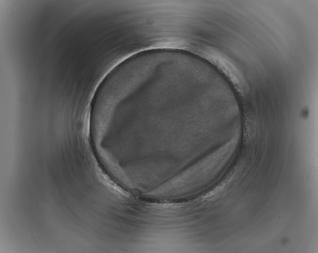 X0000097611276200803211715