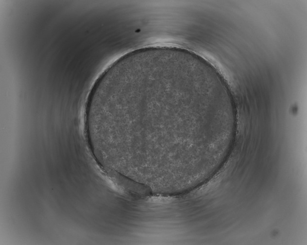 X0000097611277200803211714