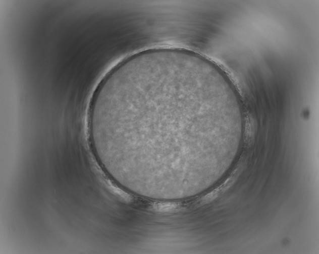 X0000097611278200803211714