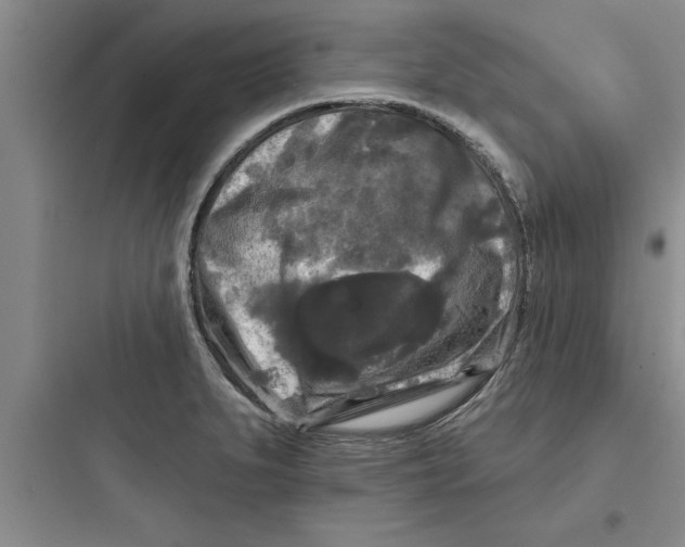 X0000097611279200803211714