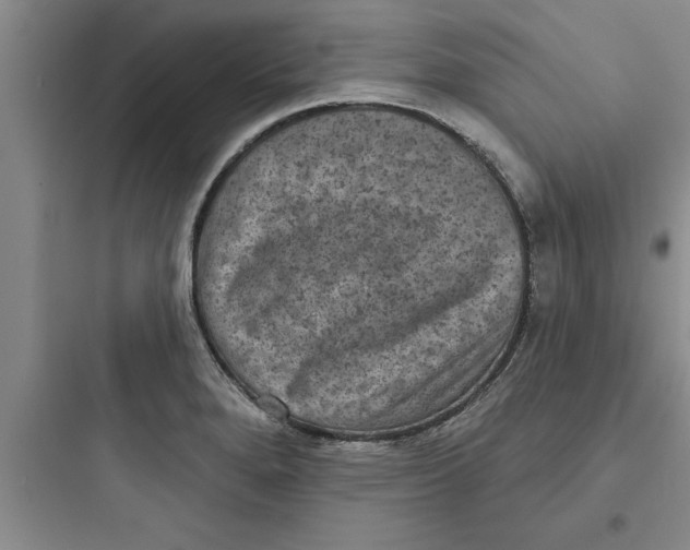 X0000097611280200803211714