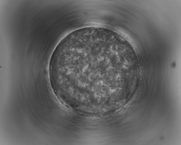 X0000097611283200803211714