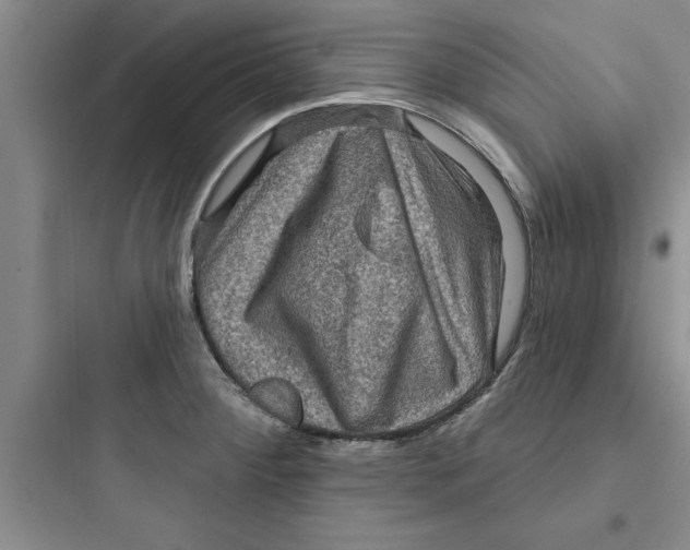 X0000097611284200803211714