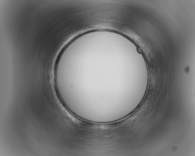 X0000097611286200803211714