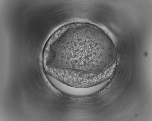 X0000097611287200803211714