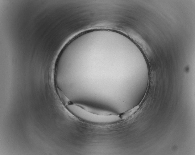 X0000097611288200803211714