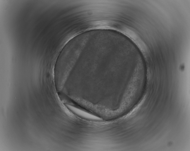 X0000097611289200803211714