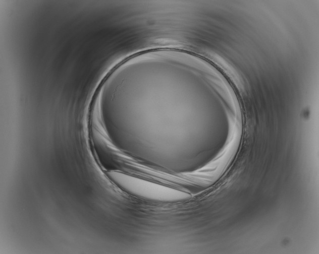 X0000097611291200803211714