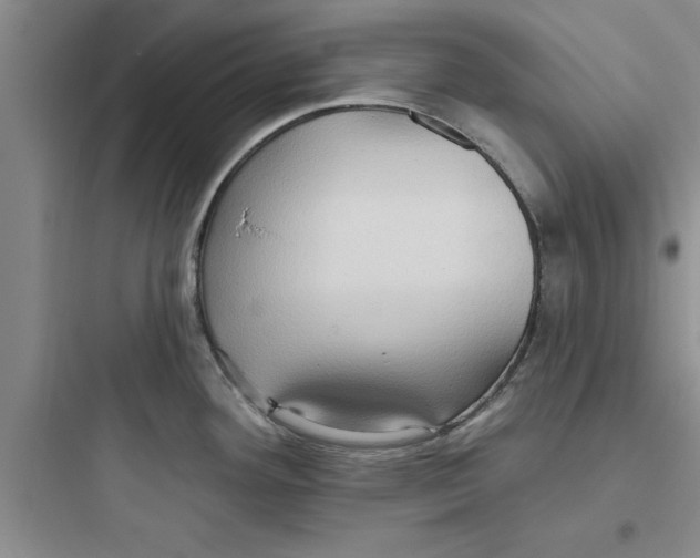 X0000097611292200803211714