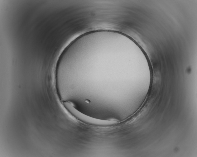 X0000097611293200803211714