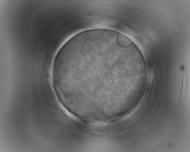 X0000097611294200803211714