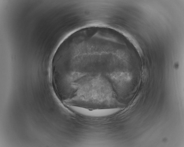 X0000097611295200803211714