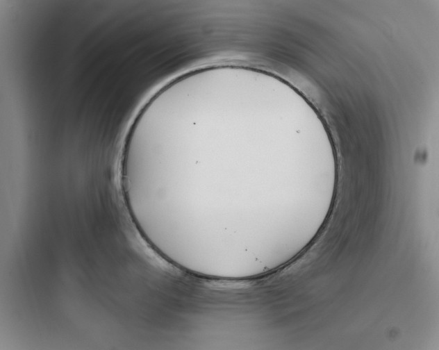 X0000097611296200803211714