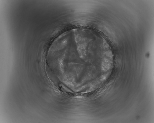 X0000097611297200803211713