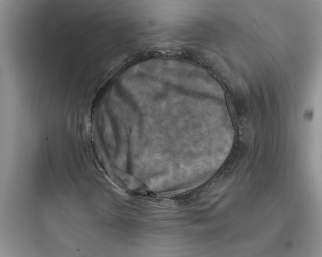 X0000097611298200803211713