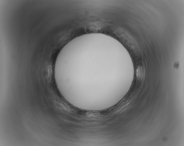 X0000097611299200803211713