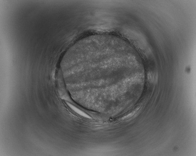 X0000097611300200803211713