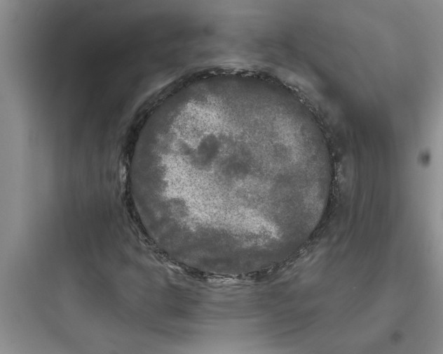 X0000097611302200803211713