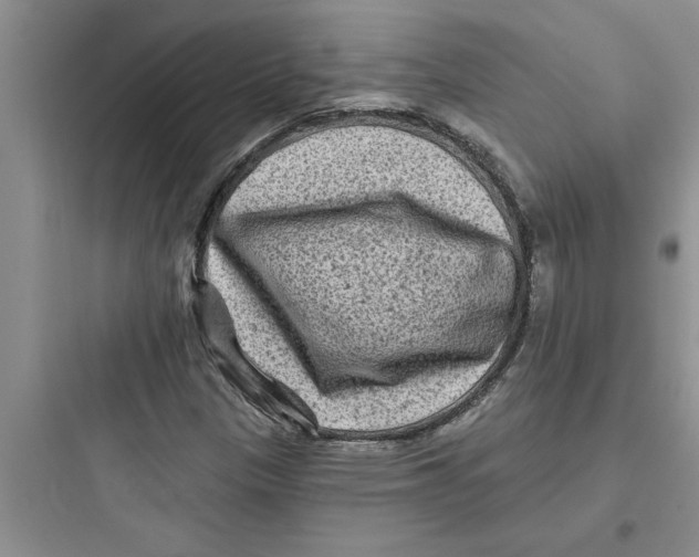 X0000097611305200803211714