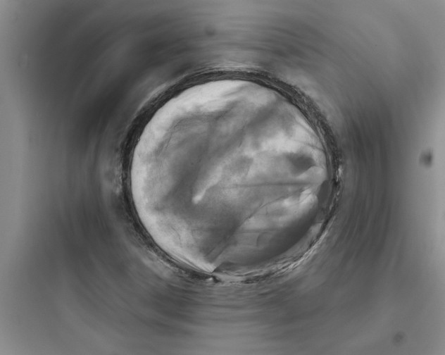 X0000097611306200803211714