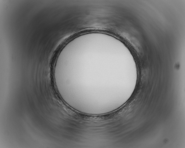 X0000097611307200803211714