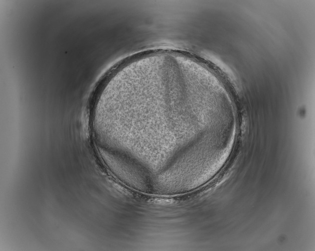 X0000097611310200803211714